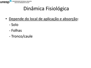 Dinâmica Fisiológica
• Depende do local de aplicação e absorção:
- Solo
- Folhas
- Tronco/caule
 