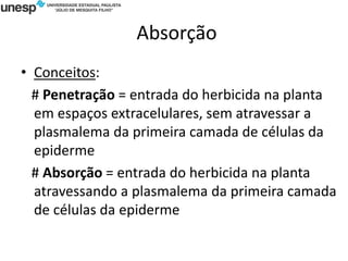 Absorção
• Conceitos:
# Penetração = entrada do herbicida na planta
em espaços extracelulares, sem atravessar a
plasmalema da primeira camada de células da
epiderme
# Absorção = entrada do herbicida na planta
atravessando a plasmalema da primeira camada
de células da epiderme
 