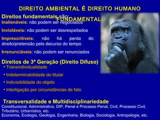 Direitos fundamentais são:
Inalienáveis: não podem ser negociados
Invioláveis: não podem ser desrespeitados
Imprescritíveis: não há perda do
direito/pretensão pelo decurso do tempo
Irrenunciáveis: não podem ser renunciados
• TransindividualidadeTransindividualidade
• Indeterminabilidade do titularIndeterminabilidade do titular
• Indivisibilidade do objetoIndivisibilidade do objeto
• Interligação por circunstâncias de fatoInterligação por circunstâncias de fato
DIREITO AMBIENTAL É DIREITO HUMANODIREITO AMBIENTAL É DIREITO HUMANO
FUNDAMENTALFUNDAMENTAL
Transversalidade e Multidisciplinariedade
Constitucional, Administrativo, DIP, Penal e Processo Penal, Civil, Processo Civil,
Tributário, Urbanístico, etc.
Economia, Ecologia, Geologia, Engenharia, Biologia, Sociologia, Antropologia, etc.
Direitos de 3ª Geração (Direito Difuso)
 
