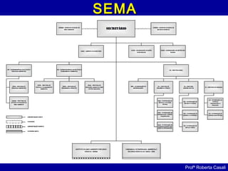 SEMASEMA
Profª Roberta Casali
 