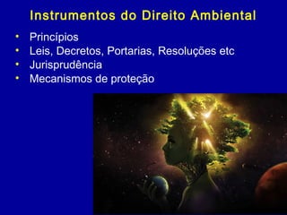 Instrumentos do Direito Ambiental
• Princípios
• Leis, Decretos, Portarias, Resoluções etc
• Jurisprudência
• Mecanismos de proteção
 