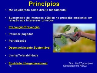 PrincípiosPrincípios
• MA equilibrado como direito fundamentalMA equilibrado como direito fundamental
• Supremacia do interesse público na proteção ambiental emSupremacia do interesse público na proteção ambiental em
relação aos interesses privadosrelação aos interesses privados
• Precaução/PrevençãoPrecaução/Prevenção
• Poluidor-pagadorPoluidor-pagador
• ParticipaçãoParticipação
• Desenvolvimento SustentávelDesenvolvimento Sustentável
• Limite/TolerabilidadeLimite/Tolerabilidade
• Equidade intergeneracionalEquidade intergeneracional Obs. Há 27 princípios
na Declaração do Rio/92
 