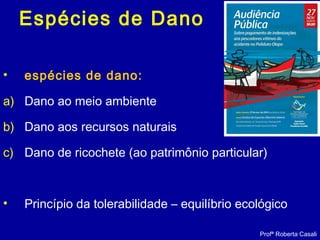 Espécies de Dano
• espécies de dano:
a) Dano ao meio ambiente
b) Dano aos recursos naturais
c) Dano de ricochete (ao patrimônio particular)
• Princípio da tolerabilidade – equilíbrio ecológico
Profª Roberta Casali
 