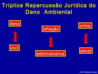 Profª Roberta Casali
Tríplice Repercussão Jurídica doTríplice Repercussão Jurídica do
Dano AmbientalDano Ambiental
civil
crime
penal
infração
administrativa
dano
 