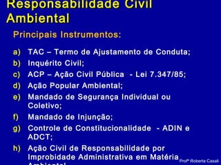 Principais Instrumentos:
a) TAC – Termo de Ajustamento de Conduta;
b) Inquérito Civil;
c) ACP – Ação Civil Pública - Lei 7.347/85;
d) Ação Popular Ambiental;
e) Mandado de Segurança Individual ou
Coletivo;
f) Mandado de Injunção;
g) Controle de Constitucionalidade - ADIN e
ADCT;
h) Ação Civil de Responsabilidade por
Improbidade Administrativa em MatériaProfª Roberta Casali
Responsabilidade CivilResponsabilidade Civil
AmbientalAmbiental
 