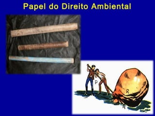 Papel do Direito Ambiental
 