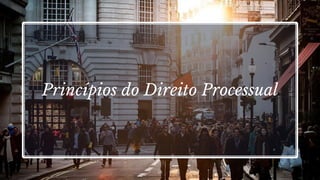 Princípios do Direito Processual
18
 