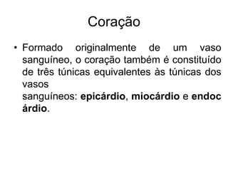 Coração
• Formado originalmente de um vaso
sanguíneo, o coração também é constituído
de três túnicas equivalentes às túnicas dos
vasos
sanguíneos: epicárdio, miocárdio e endoc
árdio.
 