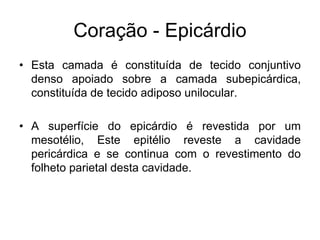 Coração - Epicárdio
• Esta camada é constituída de tecido conjuntivo
denso apoiado sobre a camada subepicárdica,
constituída de tecido adiposo unilocular.
• A superfície do epicárdio é revestida por um
mesotélio, Este epitélio reveste a cavidade
pericárdica e se continua com o revestimento do
folheto parietal desta cavidade.
 