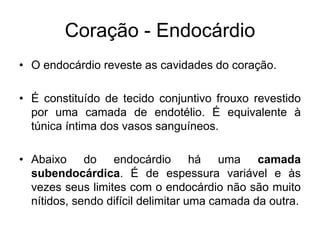 Coração - Endocárdio
• O endocárdio reveste as cavidades do coração.
• É constituído de tecido conjuntivo frouxo revestido
por uma camada de endotélio. É equivalente à
túnica íntima dos vasos sanguíneos.
• Abaixo do endocárdio há uma camada
subendocárdica. É de espessura variável e às
vezes seus limites com o endocárdio não são muito
nítidos, sendo difícil delimitar uma camada da outra.
 