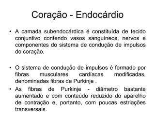 • A camada subendocárdica é constituída de tecido
conjuntivo contendo vasos sanguíneos, nervos e
componentes do sistema de condução de impulsos
do coração.
• O sistema de condução de impulsos é formado por
fibras musculares cardíacas modificadas,
denominadas fibras de Purkinje .
• As fibras de Purkinje - diâmetro bastante
aumentado e com conteúdo reduzido do aparelho
de contração e, portanto, com poucas estriações
transversais.
Coração - Endocárdio
 