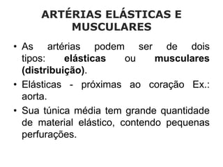 ARTÉRIAS ELÁSTICAS E
MUSCULARES
• As artérias podem ser de dois
tipos: elásticas ou musculares
(distribuição).
• Elásticas - próximas ao coração Ex.:
aorta.
• Sua túnica média tem grande quantidade
de material elástico, contendo pequenas
perfurações.
 