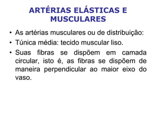 ARTÉRIAS ELÁSTICAS E
MUSCULARES
• As artérias musculares ou de distribuição:
• Túnica média: tecido muscular liso.
• Suas fibras se dispõem em camada
circular, isto é, as fibras se dispõem de
maneira perpendicular ao maior eixo do
vaso.
 