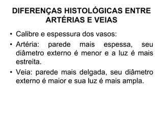 DIFERENÇAS HISTOLÓGICAS ENTRE
ARTÉRIAS E VEIAS
• Calibre e espessura dos vasos:
• Artéria: parede mais espessa, seu
diâmetro externo é menor e a luz é mais
estreita.
• Veia: parede mais delgada, seu diâmetro
externo é maior e sua luz é mais ampla.
 