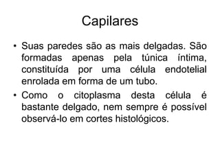 Capilares
• Suas paredes são as mais delgadas. São
formadas apenas pela túnica íntima,
constituída por uma célula endotelial
enrolada em forma de um tubo.
• Como o citoplasma desta célula é
bastante delgado, nem sempre é possível
observá-lo em cortes histológicos.
 