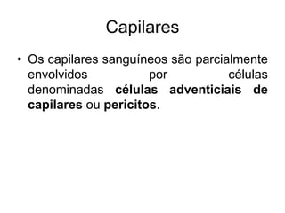 Capilares
• Os capilares sanguíneos são parcialmente
envolvidos por células
denominadas células adventiciais de
capilares ou pericitos.
 