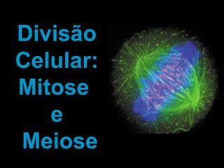 Divisão
Celular:
Mitose
e
Meiose
 