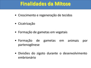 • Crescimento e regeneração de tecidos
• Cicatrização
animais por
• Formação de gametas em vegetais
• Formação de gametas em
partenogênese
• Divisões do zigoto durante o desenvolvimento
embrionário
Finalidades da Mitose
 