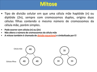 • Tipo de divisão celular em que uma célula mãe haplóide (n) ou
diplóide (2n), sempre com cromossomos duplos, origina duas
células filhas contendo o mesmo número de cromossomos da
célula mãe, porém simples.
• Pode ocorrer com células (n) ou (2n)
• Não altera o número de cromossomos da célula mãe
• A mitose também é chamada de divisão equacional e simbolizada por E!
46
46 46
30
30 30
Célula mãe
Células filhas
Mitose
 