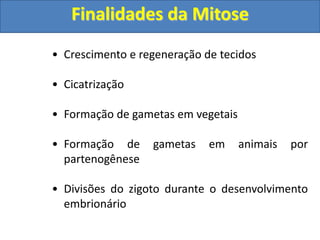 • Crescimento e regeneração de tecidos
• Cicatrização
• Formação de gametas em vegetais
• Formação de gametas em animais por
partenogênese
• Divisões do zigoto durante o desenvolvimento
embrionário
Finalidades da Mitose
 