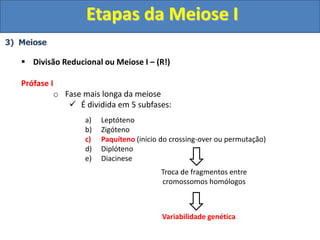 3) Meiose
 Divisão Reducional ou Meiose I – (R!)
Prófase I
o Fase mais longa da meiose
 É dividida em 5 subfases:
a) Leptóteno
b) Zigóteno
c) Paquíteno (inicio do crossing-over ou permutação)
d) Diplóteno
e) Diacinese
Troca de fragmentos entre
cromossomos homólogos
Variabilidade genética
Etapas da Meiose I
 