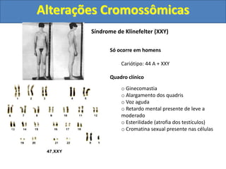 Síndrome de Klinefelter (XXY)
Só ocorre em homens
Cariótipo: 44 A + XXY
Quadro clínico
o Ginecomastia
o Alargamento dos quadris
o Voz aguda
o Retardo mental presente de leve a
moderado
o Esterilidade (atrofia dos testículos)
o Cromatina sexual presente nas células
Alterações Cromossômicas
 