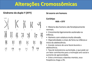 Síndrome do duplo Y (XYY) Só ocorre em homens
Cariótipo
44A + XYY
• Maioria dos homens são fenotipicamente
normais.
• Crescimento ligeiramente acelerado na
Infância.
• Homens com estatura muito elevada.
• Hiperatividade e crises de fúria na infância e
início da adolescência.
• Grande número de acne facial durante a
adolescência;
• Taxa de testosterona aumentada, o que pode ser
um fator contribuinte para a inclinação anti-social e
aumento de agressividade;
• Entre criminosos e doentes mentais, essa
freqüência chega a 3%.
Alterações Cromossômicas
 