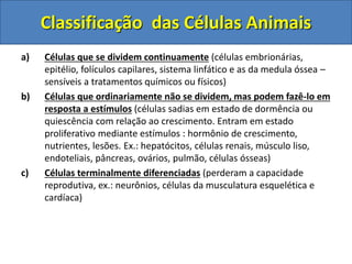 a) Células que se dividem continuamente (células embrionárias,
epitélio, folículos capilares, sistema linfático e as da medula óssea –
sensíveis a tratamentos químicos ou físicos)
b) Células que ordinariamente não se dividem, mas podem fazê-lo em
resposta a estímulos (células sadias em estado de dormência ou
quiescência com relação ao crescimento. Entram em estado
proliferativo mediante estímulos : hormônio de crescimento,
nutrientes, lesões. Ex.: hepatócitos, células renais, músculo liso,
endoteliais, pâncreas, ovários, pulmão, células ósseas)
c) Células terminalmente diferenciadas (perderam a capacidade
reprodutiva, ex.: neurônios, células da musculatura esquelética e
cardíaca)
Classificação das Células Animais
 