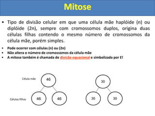 • Tipo de divisão celular em que uma célula mãe haplóide (n) ou
diplóide (2n), sempre com cromossomos duplos, origina duas
células filhas contendo o mesmo número de cromossomos da
célula mãe, porém simples.
• Pode ocorrer com células (n) ou (2n)
• Não altera o número de cromossomos da célula mãe
• A mitose também é chamada de divisão equacional e simbolizada por E!
46
46 46
30
30 30
Célula mãe
Células filhas
Mitose
 