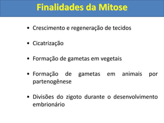 • Crescimento e regeneração de tecidos
• Cicatrização
• Formação de gametas em vegetais
• Formação de gametas em animais por
partenogênese
• Divisões do zigoto durante o desenvolvimento
embrionário
Finalidades da Mitose
 