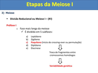 3) Meiose
 Divisão Reducional ou Meiose I – (R!)
Prófase I
o Fase mais longa da meiose
 É dividida em 5 subfases:
a) Leptóteno
b) Zigóteno
c) Paquíteno (inicio do crossing-over ou permutação)
d) Diplóteno
e) Diacinese
Troca de fragmentos entre
cromossomos homólogos
Variabilidade genética
Etapas da Meiose I
 