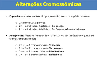  Euploidia: Altera todo o teor do genoma (não ocorre na espécie humana)
o 2n: indivíduos diplóides
o 2n – n: indivíduos haplóides – Ex: zangão
o 2n + n: indivíduos triplóides – Ex: Banana (Musa paradisíaca)
 Aneuploidia: Altera o número de cromossomos do cariótipo (conjunto de
cromossomos diplóides)
o 2n + 1 (47 cromossomos) – Trissomia
o 2n + 2 (48 cromossomos) – Tetrassomia
o 2n – 1 (45 cromossomos) – Monossomia
o 2n – 2 (44 cromossomos) – Nulissomia
Alterações Cromossômicas
 