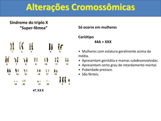 Síndrome do triplo X
“Super-fêmea” Só ocorre em mulheres
Cariótipo
44A + XXX
• Mulheres com estatura geralmente acima da
média.
• Apresentam genitália e mamas subdesenvolvidas.
• Apresentam certo grau de retardamento mental.
• Puberdade precoce.
• São férteis.
Alterações Cromossômicas
 