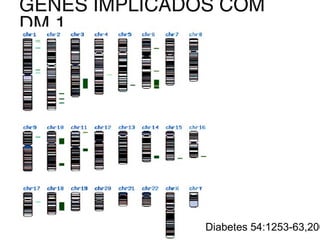 GENES IMPLICADOS COM
DM 1
Diabetes 54:1253-63,200
 