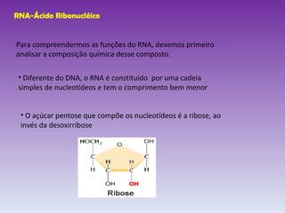 RNA-Ácido Ribonucléico Para compreendermos as funções do RNA, devemos primeiro analisar a composição química desse composto. Diferente do DNA, o RNA é constituído  por uma cadeia simples de nucleotídeos e tem o comprimento bem menor O açúcar pentose que compõe os nucleotídeos é a ribose, ao invés da desoxirribose  