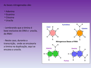 As bases nitrogenadas são: Adenina Guanina Citosina Uracila - Lembrando que a timina é base exclusiva do DNA e  uracila, do RNA! - Neste caso, durante a transcrição,  onde se encaixaria a timina na duplicação, aqui se encaixa a uracila. 