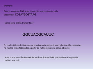 Exemplo: Caso o molde de DNA a ser transcrito seja composto pela sequência:  CCGATGCGTAAG Como seria o RNA transcrito?? GGCUACGCAUUC Os nucleotídeos de RNA que se encaixam durante a transcrição já estão presentes no núcleo e são fabricados a partir de nutrientes que a célula absorve. Após o processo de transcrição, as duas fitas de DNA que haviam se separado voltam a se unir. 