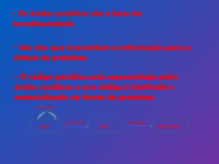 - Os ácidos nucléicos são a base da hereditariedade - São eles que transmitem a informação para a síntese de proteínas -   O código genético está representado pelos ácidos nucléicos e esse código é decifrado e materializado na forma de proteínas DNA RNA PROTEÍNA Transcrição Tradução Replicação 