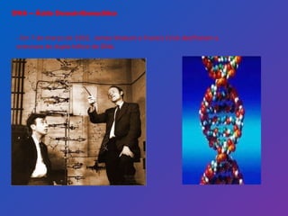 DNA – Ácido Desoxirribonucléico - Em 7 de março de 1953,  James Watson e Francis Crick decifraram a estrutura de dupla hélice do DNA. 
