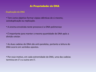 As Propriedades do DNA - Duplicação do DNA  Tem como objetivo formar cópias idênticas de si mesmo, autoduplicação ou replicação. A enzima envolvida neste processo é a DNA-polimerase É importante para manter a mesma quantidade de DNA após a divisão celular. As duas cadeias do DNA são anti-paralelas, portanto a leitura do DNA ocorre em sentidos opostos. Por esse motivo, em cada extremidade do DNA, uma das cadeias termina em 3’ e a outra em 5’.  