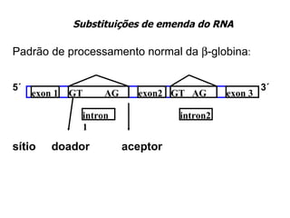 Padrão de processamento normal da   -globina : 5´   3´ sítio  doador    aceptor Substituições de emenda do RNA exon 1 exon2 exon 3 intron 1 intron2 GT  AG GT  AG 