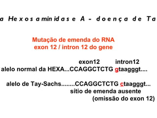 Mutação de emenda do RNA  exon 12 / intron 12 do gene    exon12   intron12 alelo normal da HEXA...CCAGGCTCTG  g taagggt.... alelo de Tay-Sachs........CCAGGCTCTG  c taagggt... sítio de emenda ausente (omissão do exon 12) Gene da Hexosaminidase A - doença de Tay-Sachs 
