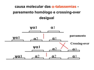  1   1  1  1  1  1  2  2  1  2  2  1 causa molecular das   -talassemias  - pareamento homólogo e crossing-over desigual pareamento Crossing-over 