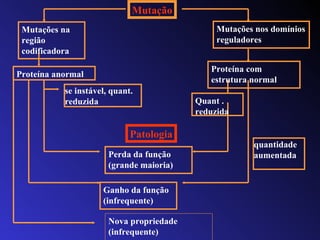 quantidade aumentada se instável, quant. reduzida Mutações na região codificadora Mutações nos domínios reguladores Proteína anormal Proteína com estrutura normal Quant . reduzida Perda da função (grande maioria) Ganho da função (infrequente) Nova propriedade (infrequente) Mutação Patologia 