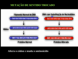 MUTAÇÃO DE SENTIDO TROCADO Altera o códon e muda o aminoácido 
