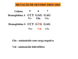 CCT  GAG  GAG Hemoglobina A Hemoglobina S Pro  Glu  Glu 5   6   7 Códons Glu - aminoácido com carga negativa Val - aminoácido hidrofóbico MUTAÇÃO DE SENTIDO TROCADO CCT  G T G  GAG Pro  Val   Glu 