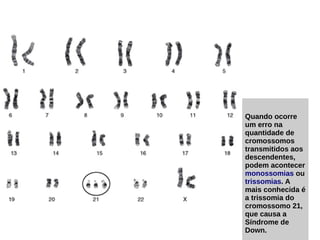 Quando ocorre
um erro na
quantidade de
cromossomos
transmitidos aos
descendentes,
podem acontecer
monossomias ou
trissomias. A
mais conhecida é
a trissomia do
cromossomo 21,
que causa a
Síndrome de
Down.
 