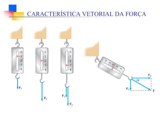 CARACTERÍSTICA VETORIAL DA FORÇA
 