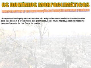 • As queimadas de pequenas extensões são integradas aos ecossistemas dos cerrados,
pois elas contêm o crescimento das gramíneas, que é muito rápido, podendo impedir o
desenvolvimento da rica fauna da região.
 