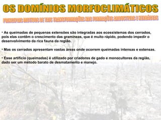 • As queimadas de pequenas extensões são integradas aos ecossistemas dos cerrados,
pois elas contêm o crescimento das gramíneas, que é muito rápido, podendo impedir o
desenvolvimento da rica fauna da região.
• Mas os cerrados apresentam vastas áreas onde ocorrem queimadas intensas e extensas.
• Esse artifício (queimadas) é utilizado por criadores de gado e monocultores da região,
dado ser um método barato de desmatamento e manejo.
 